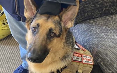 Veteran Chad Leaver with his service dog Cote graduated Pawsitive for Heroes