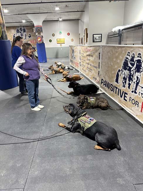 Training inside our Pawsitive for Heroes Training Center