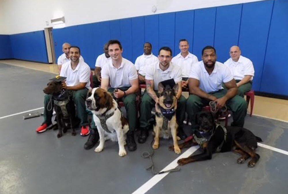 Collins Correctional Facility Service Dog Graduates 2023